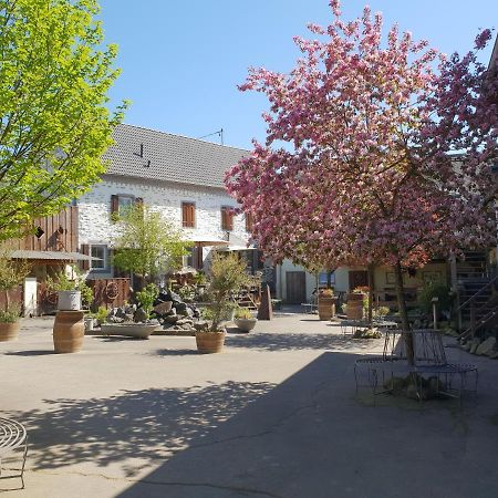 Besondere Ferienwohnung Spirit Auf Idyllischem Reiterhof Nahe Burg Eltz Münstermaifeld Extérieur photo
