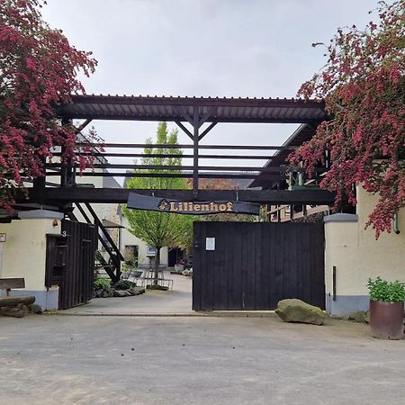 Besondere Ferienwohnung Spirit Auf Idyllischem Reiterhof Nahe Burg Eltz Münstermaifeld Extérieur photo