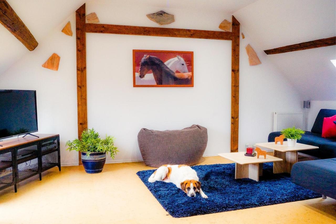 Besondere Ferienwohnung Spirit Auf Idyllischem Reiterhof Nahe Burg Eltz Münstermaifeld Extérieur photo